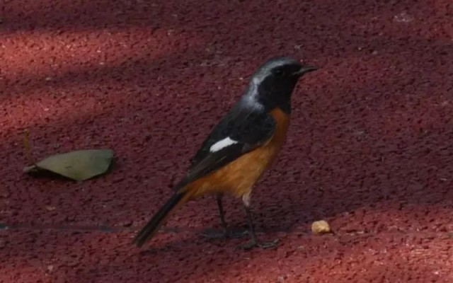 2018071910085176421003.jpg 2018071910085176421003.jpg